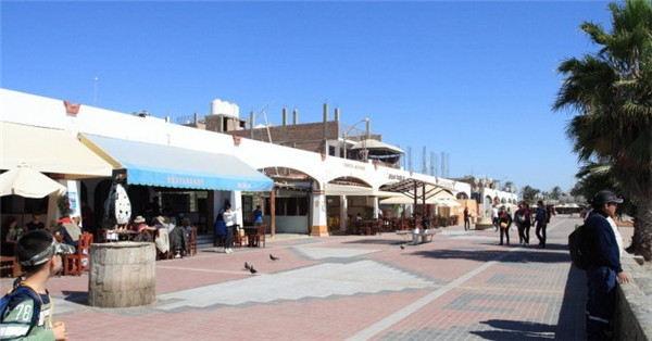 20130401174954645.jpg