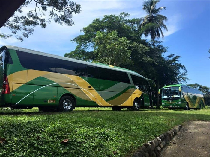 52座大巴 bus 2.jpg